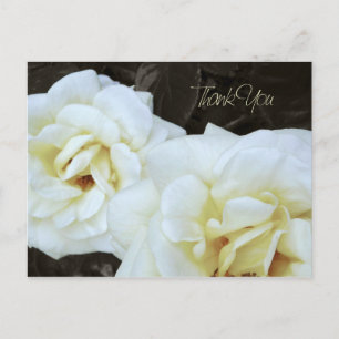 Fleur rose blanche   Cartes postales Merci