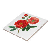 Fleur rose Carreaux en céramique (Côté)