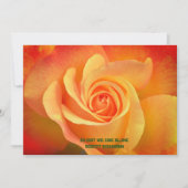 fleur Rose de carte de voeux (Devant)