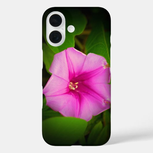 Fleur rose foncé * coque iphone Coque-mat (Verso)
