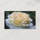 Fleur Rose Jaune En Carte de visite Fleur (Dos)