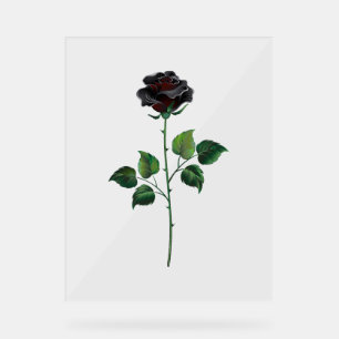 Fleur rose noire