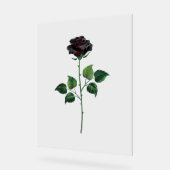 Fleur rose noire (Angle)