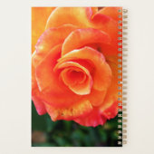 Fleur rose orange (Dos)