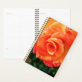Fleur rose orange (Devant avec enveloppe)