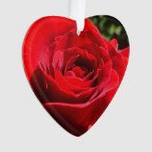 Fleur rose rouge vif Belle florale (devant)