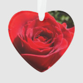 Fleur rose rouge vif Belle florale (dos)