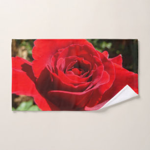 Fleur rose rouge vif Belle florale