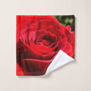 Fleur rose rouge vif Belle florale