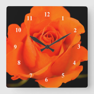 Fleur Rose simple orange Horloge murale acrylique