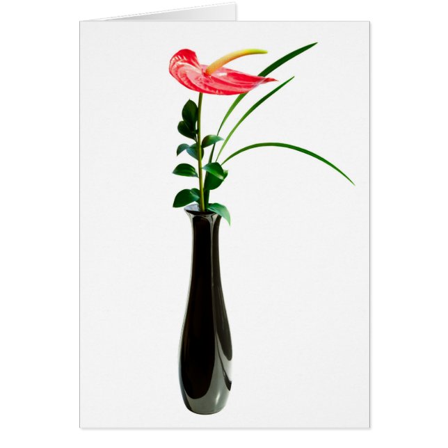 Fleur rouge d'anthure dans un vase (Devant)