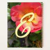 Fleur rouge et jaune (Dos)