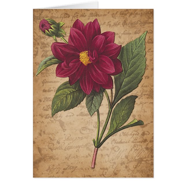 Fleur rouge et lettre (Devant)