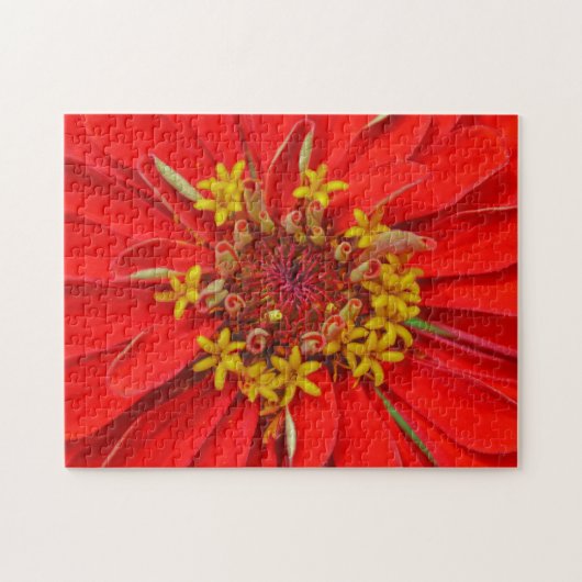 Fleur Rouge Profonde Gros Plan Puzzle Floral (Horizontal)