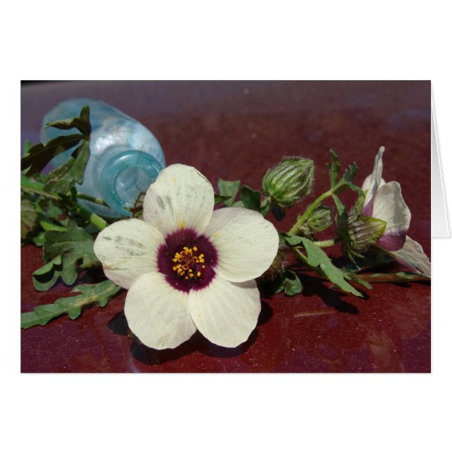 Fleur sauvage à vie morte (Devant horizontal)