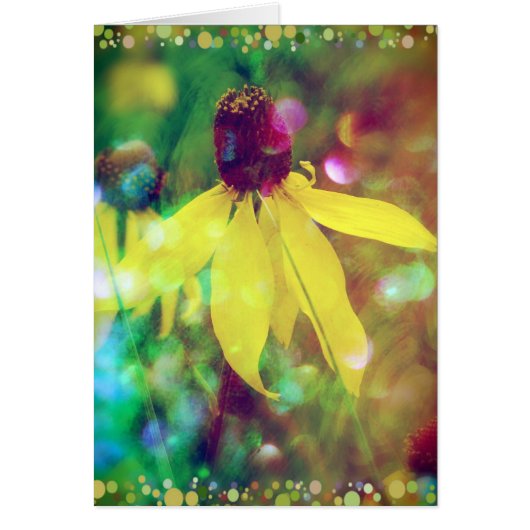 Fleur sauvage d'été (Devant)