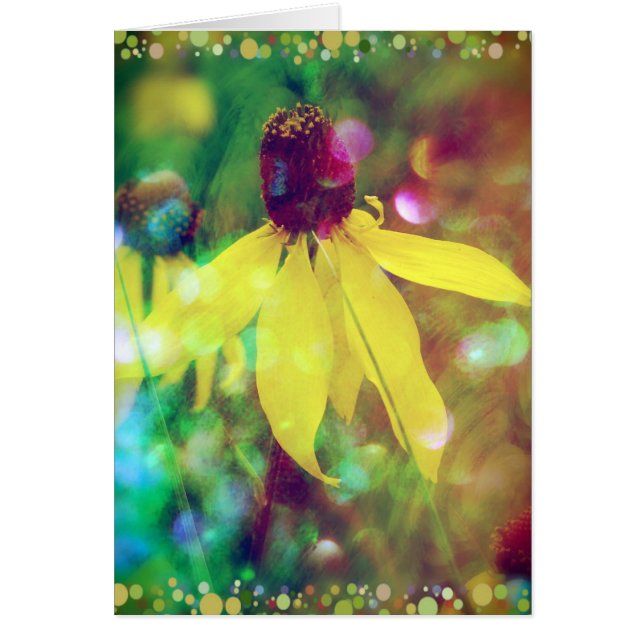 Fleur sauvage d'été jaune (Devant)