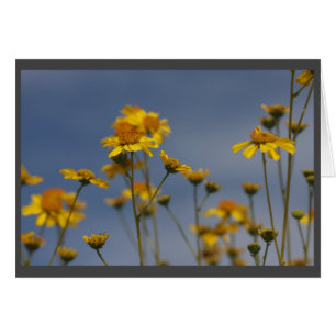 Fleur sauvage du désert jaune