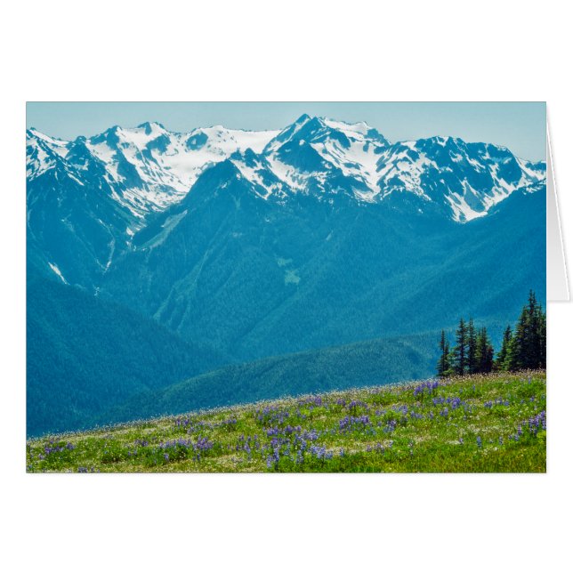 Fleur sauvage et Montagnes (Devant Horizontal)