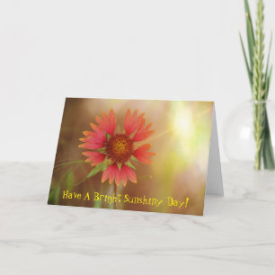 Fleur sauvage Sunshine Penser À Votre Carte