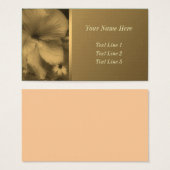 Fleur Sepia Hibiscus âgée (Devant & derrière)