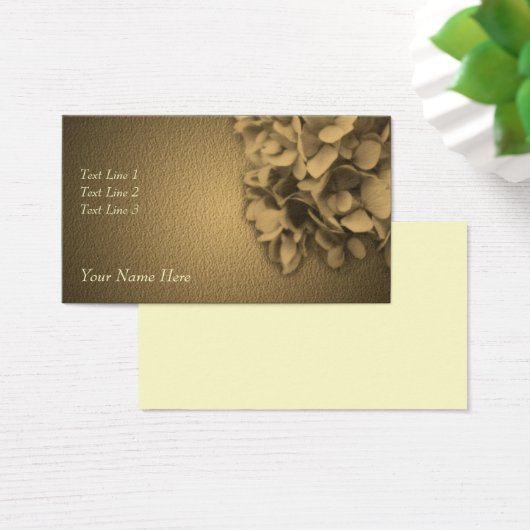 Fleur Sepia Hydrangea âgée (Bureau)