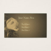 Fleur Sepia Rosebud âgée (Devant)