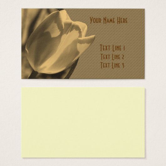 Fleur Sepia Tulip âgée (Devant & derrière)