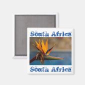 Fleur Strelitzia Afrique du Sud Magnet nature (Recto/Verso)