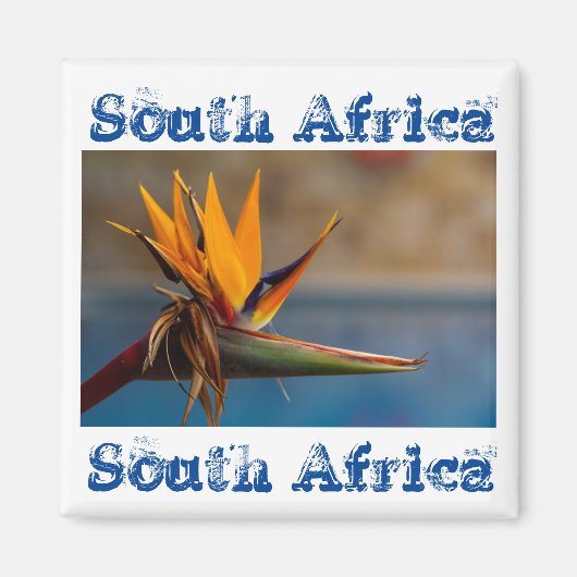 Fleur Strelitzia Afrique du Sud Magnet nature (Devant)