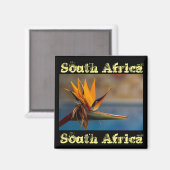 Fleur Strelitzia Afrique du Sud Magnet nature (Recto/Verso)