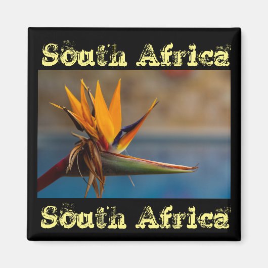 Fleur Strelitzia Afrique du Sud Magnet nature (Devant)