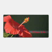 Fleur Tropical Rouge Hibiscus Dramatique (Recto)