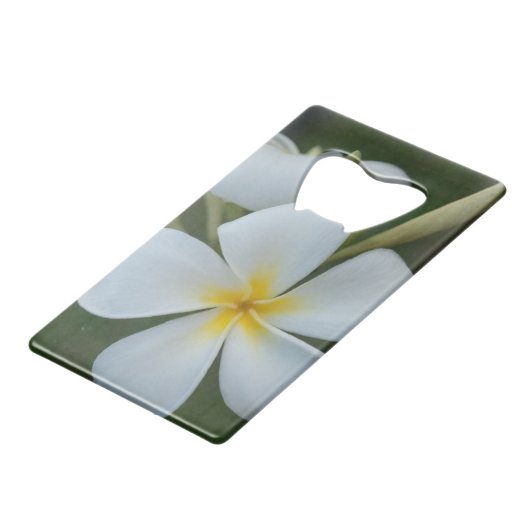 Fleur Tropicale Blanche De Fidji (Dos Angle)