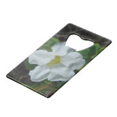 Fleur tropicale blanche trouvée à Fidji (Devant Angle)