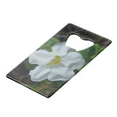 Fleur tropicale blanche trouvée à Fidji (Dos Angle)