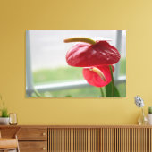 Fleur tropicale d'Anthurium rouge sur toile envelo (Insitu(Salon))