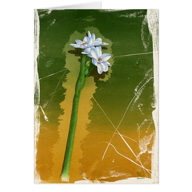 Fleur verte (Devant)