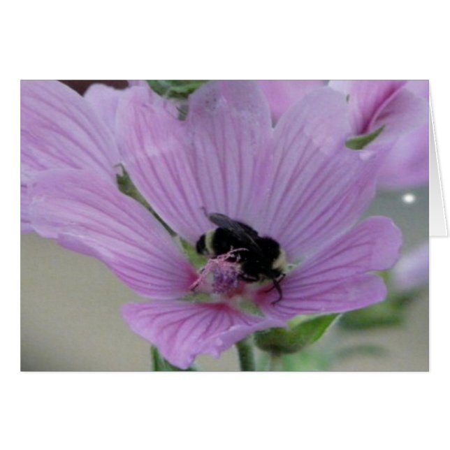 Fleur violet clair avec carte d'abeille (Devant horizontal)