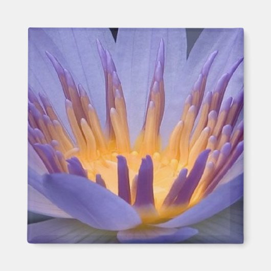 Fleur violet et or - Aimant (Devant)