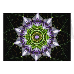 Fleur violette