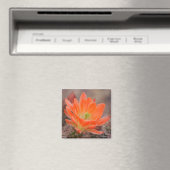 fleurir en aimant orange (In Situ (Lave-vaisselle))
