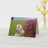 Fleurissez où vous êtes image plantée de carte de (Fleur jaune)