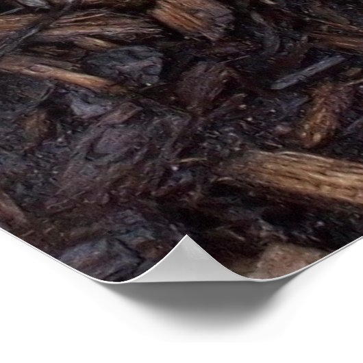 fleurs 1 affiche (Coin)