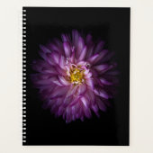 Fleurs 20 (Devant)