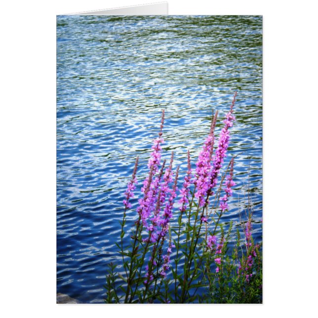 "Fleurs à Long Pond" (Devant)
