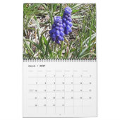 Fleurs à travers le calendrier des saisons ! (Mar 2027)