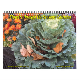 Fleurs à travers le calendrier des saisons !