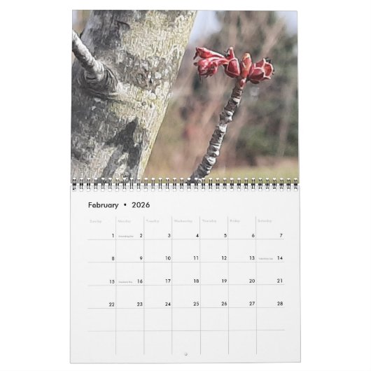 Fleurs à travers le calendrier des saisons ! (Feb 2026)