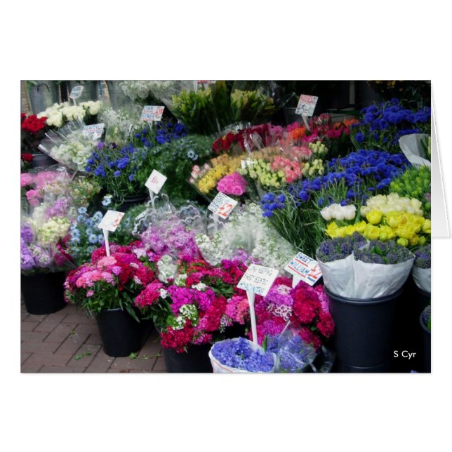 Fleurs À Vendre, S Cyr (Devant horizontal)
